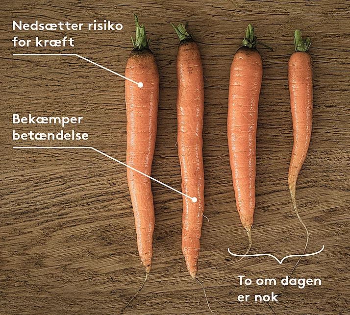 illustration med gulerødder