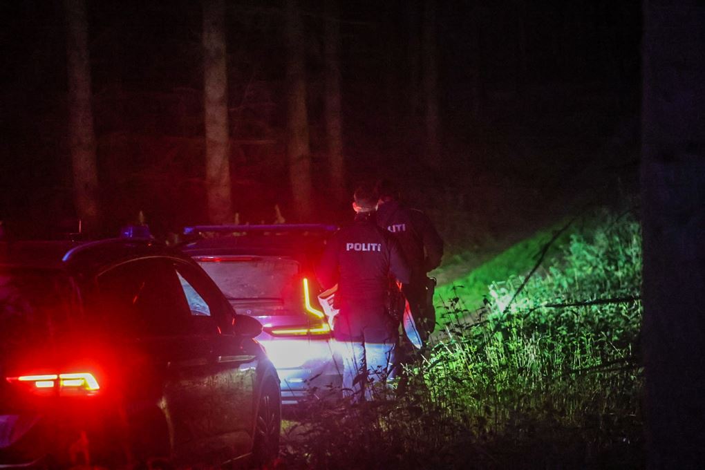Politi i skov