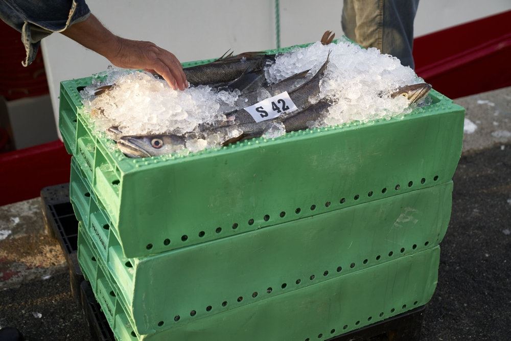fisk i kasser