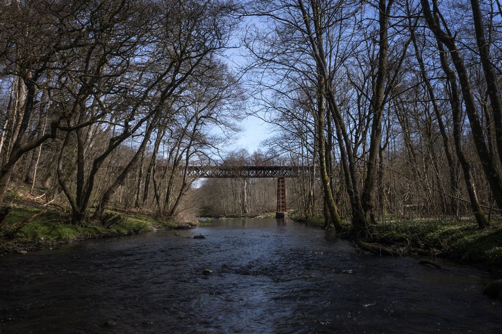 Gudenåen