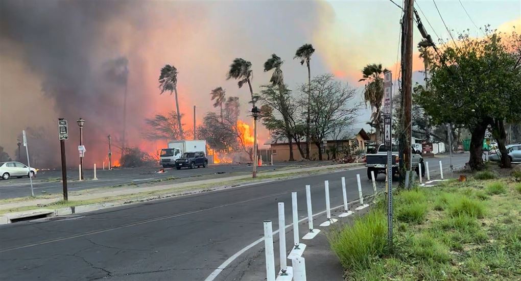 en skovbrand løber løbsk
