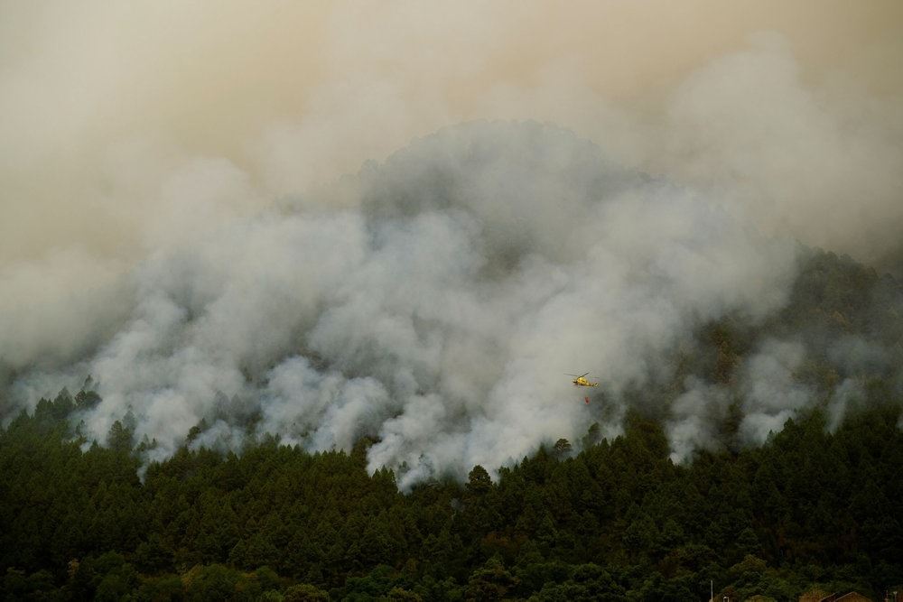 Skovbrand