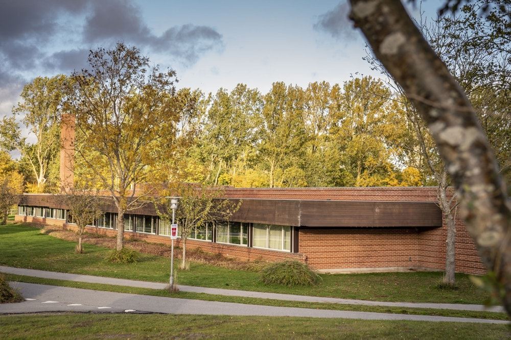 mørke skyer over bygning og træer 