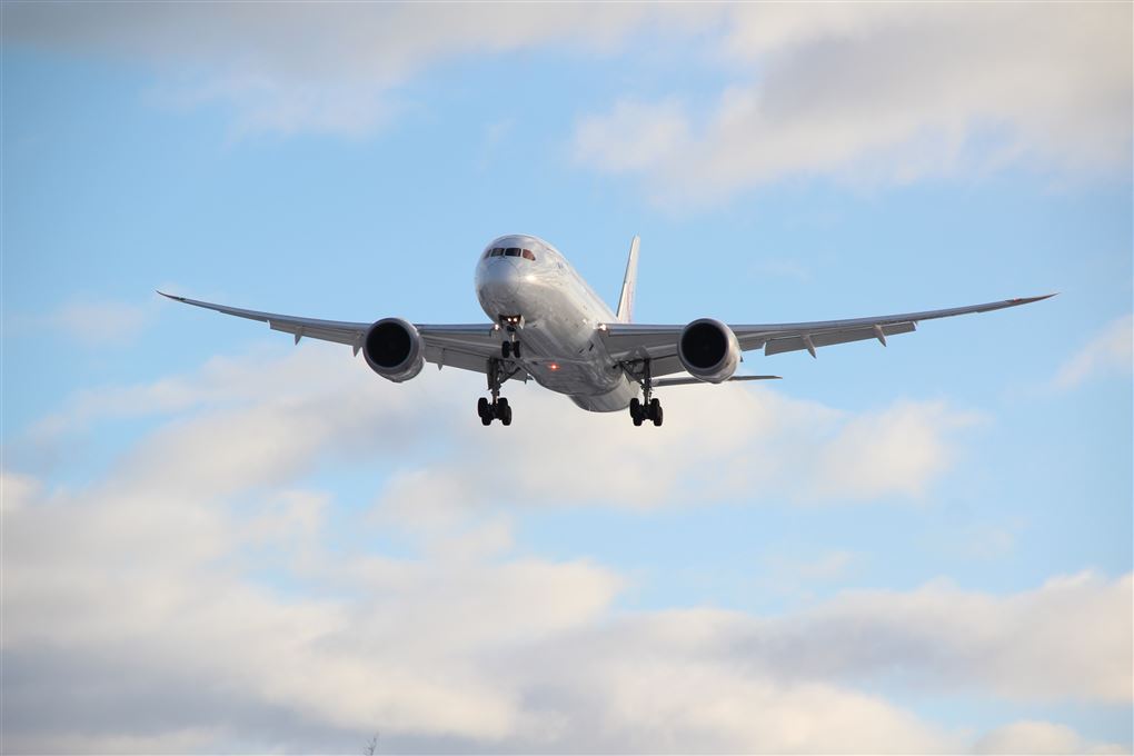 Et fly i luften