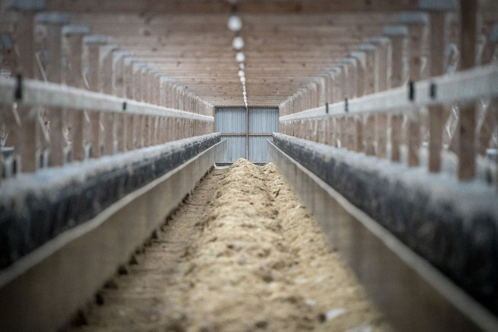 minkfarm