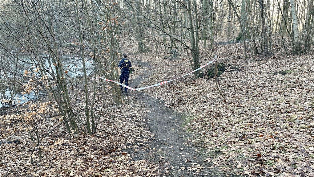 En politibetjent i en skov ved søen bag afspærring.
