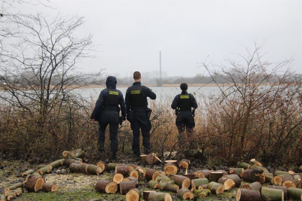 tre mennesker kigger ud over sø