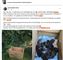 screendump fra Facebook