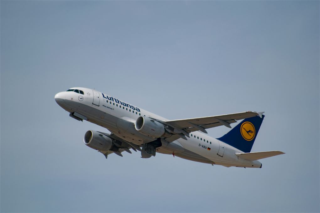 Et fly i luften