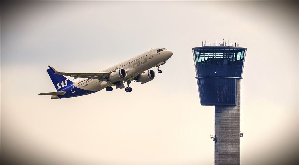 et fly i luften