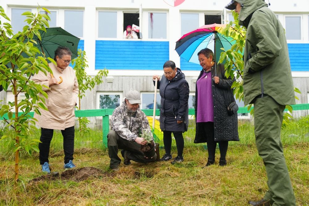 personer planter træ