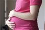 gravid mave