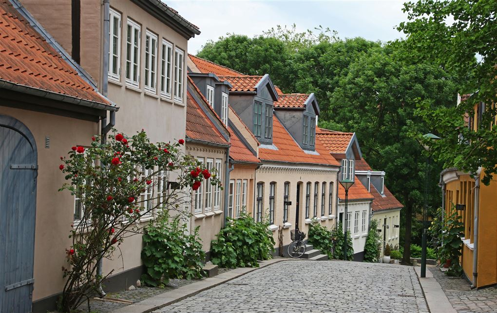 En stribe huse i en hyggelig gade