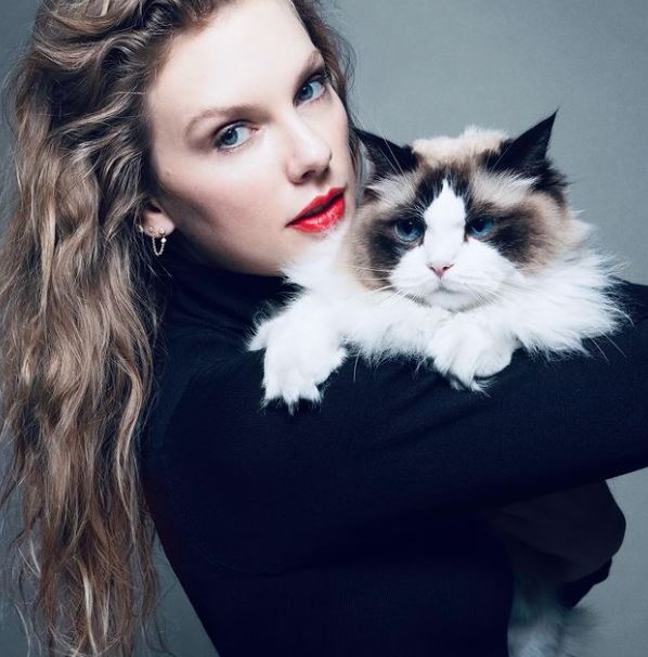 en kvinde med en kat