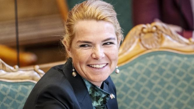 EN POLITIKER DER GRINER