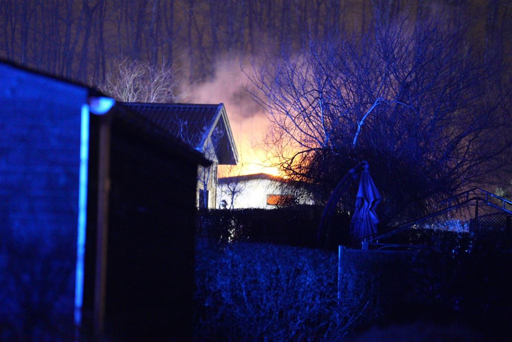 BRAND I kolonihave