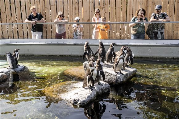 Zoologiske haver hører fortiden til