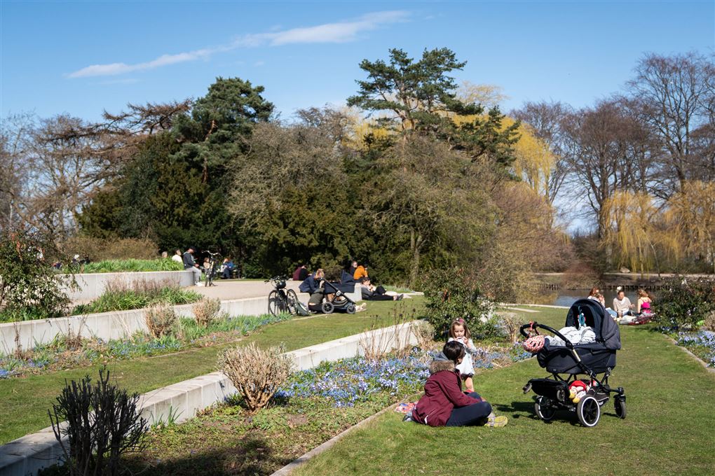 mennesker i en park nyder vejret