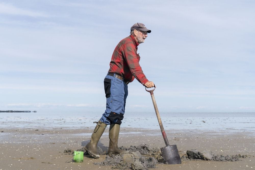 mand går og rydder tang på strand