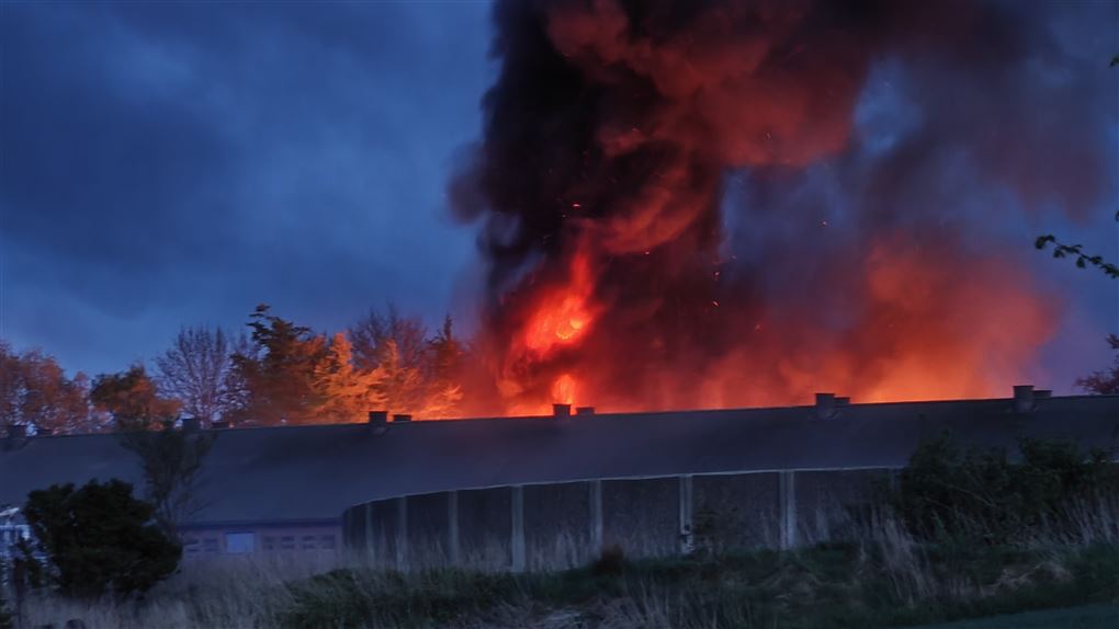 store flammer kommer op fra bygning
