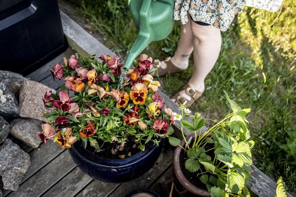 en personer vander en krukke med blomster