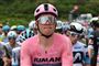 cykelrytter mads pedersen kører over stregeng