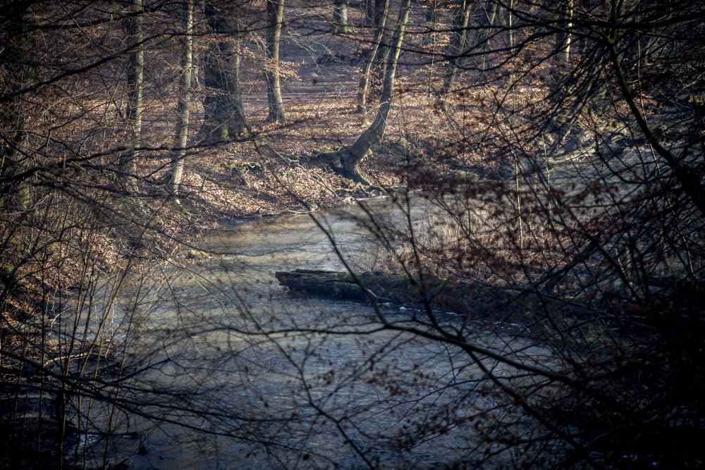 vandløb med vand