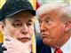 elon musk og donald trump