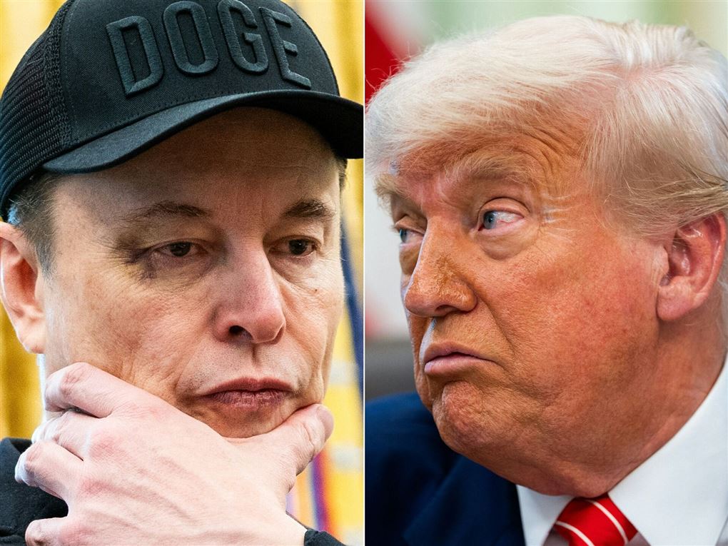 elon musk og donald trump