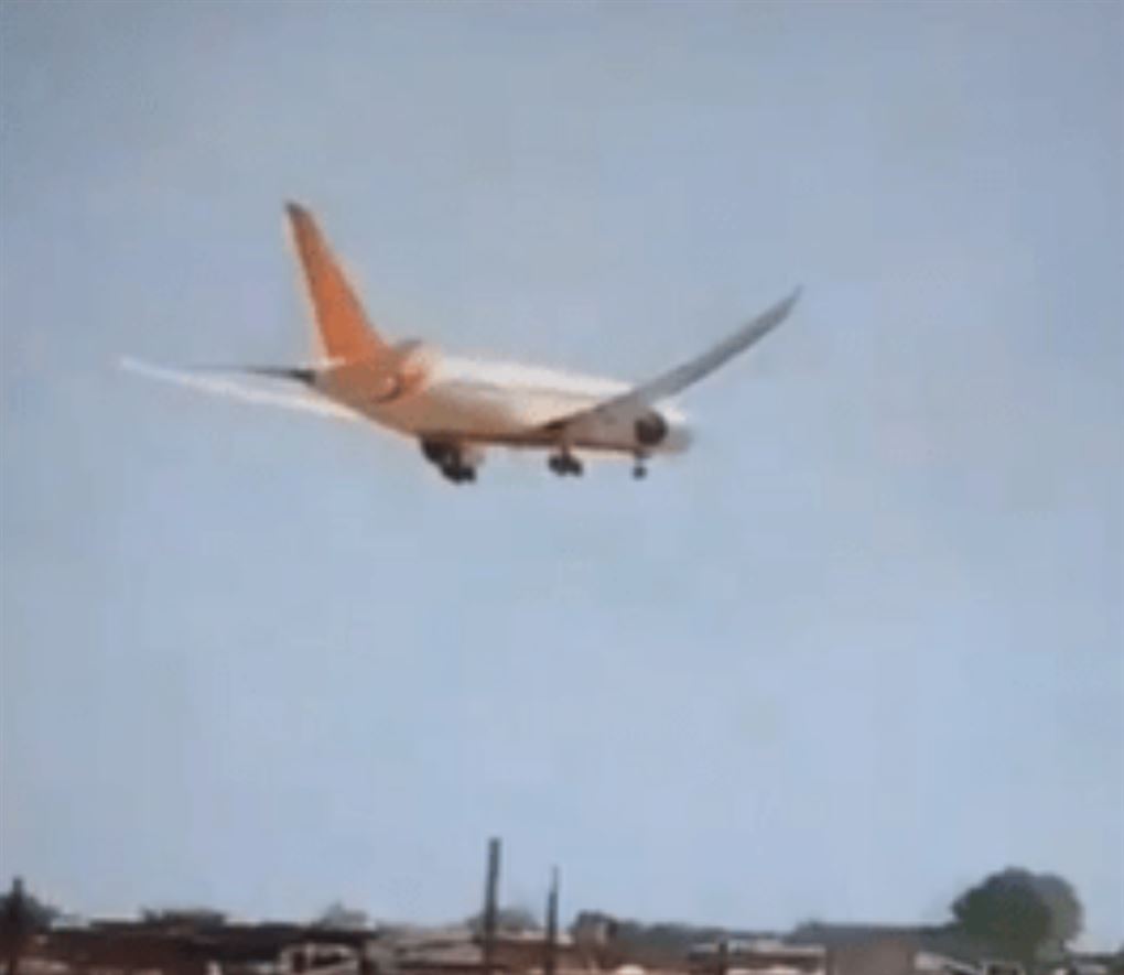 et fly i luften