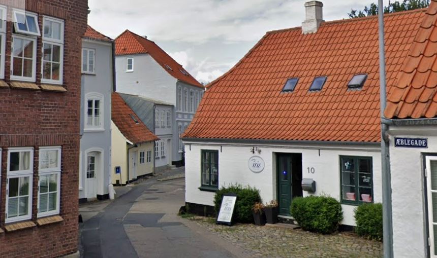 kvarter med huse i dansk by
