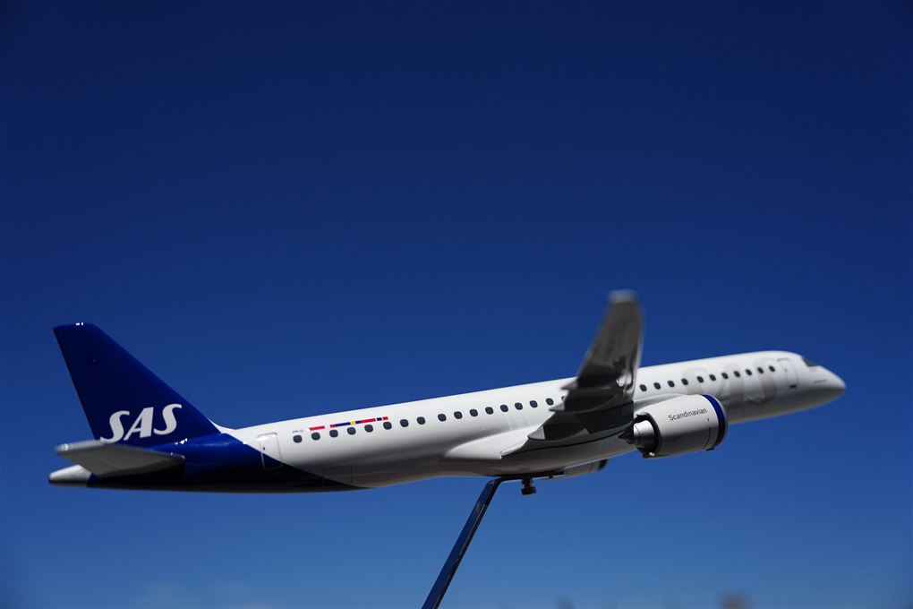 Et fly i luften