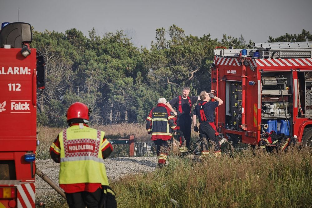 brandmænd i en klitplantage