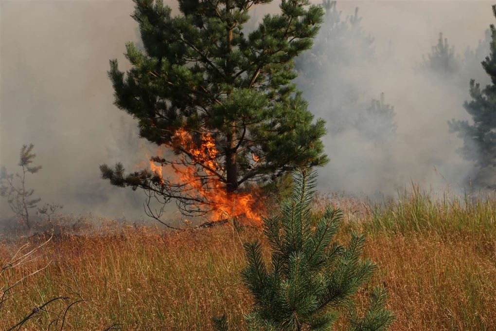 flammer og røg mod himlen