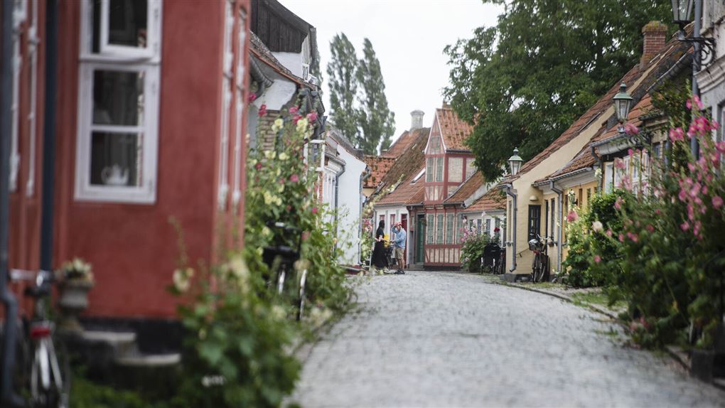 en gade med gamle huse og stokroser