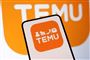 logo fra temu