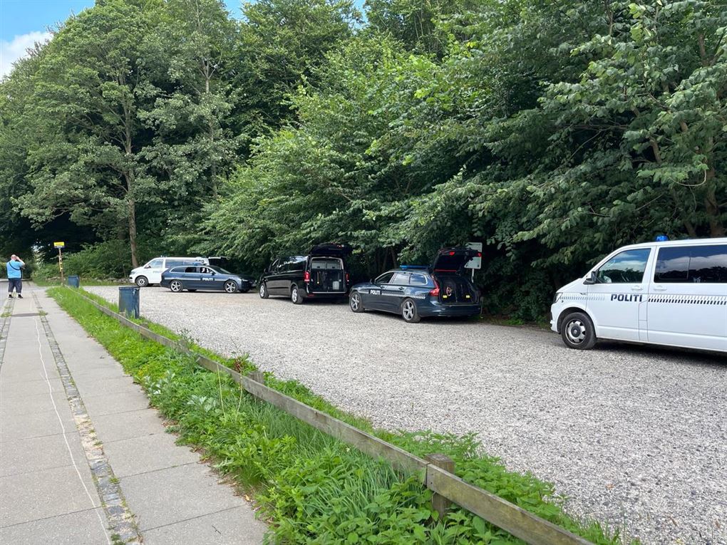 politibiler holder ved skov