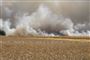 massiv røg fra markbrand