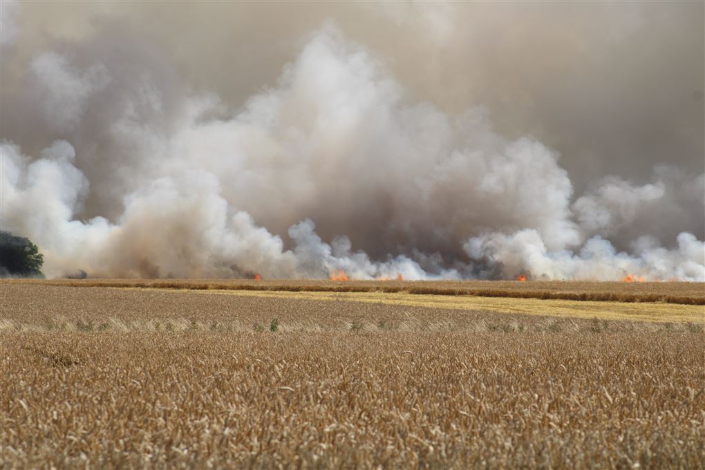 massiv røg fra markbrand