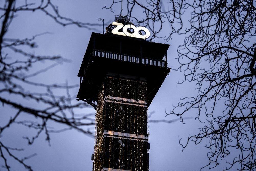 Zoo-tårnet i København