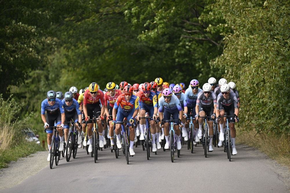 ET cykeltfelt på en lille vej med træer ved siden