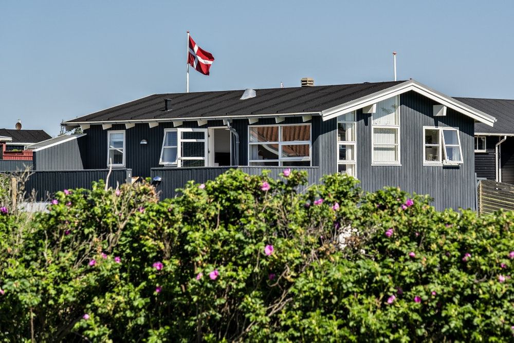Et blåmalet træsommerhus omgivet af hybenbuske og med dannebrog vajende i flagstangen