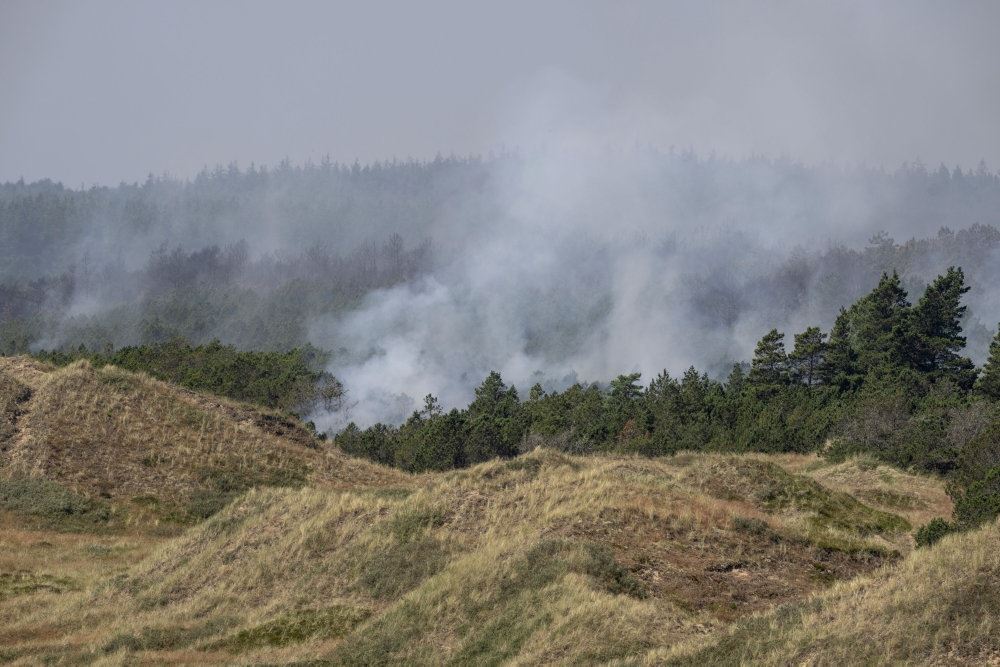 brand i naturen