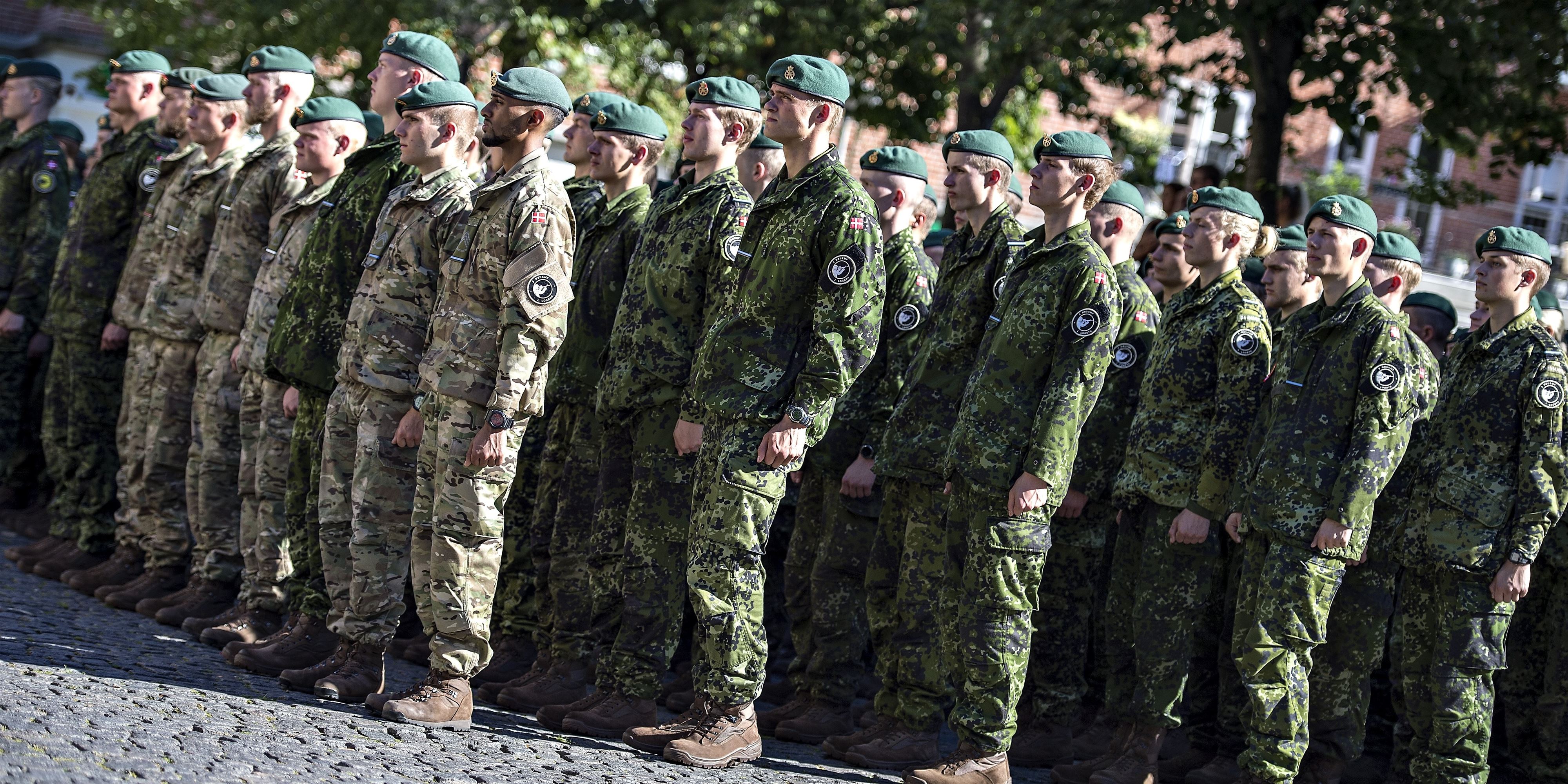 FAKTA: Det Bruger Nato-landene På Deres Forsvar - Avisen.dk